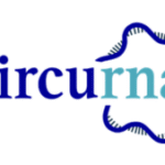 Circurna