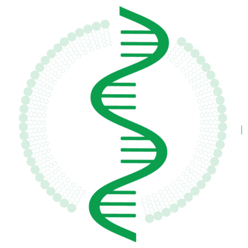 RNA-Based Therapeutics Europe Logo