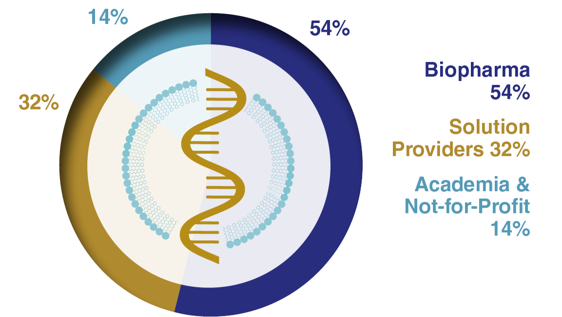 Company type graph